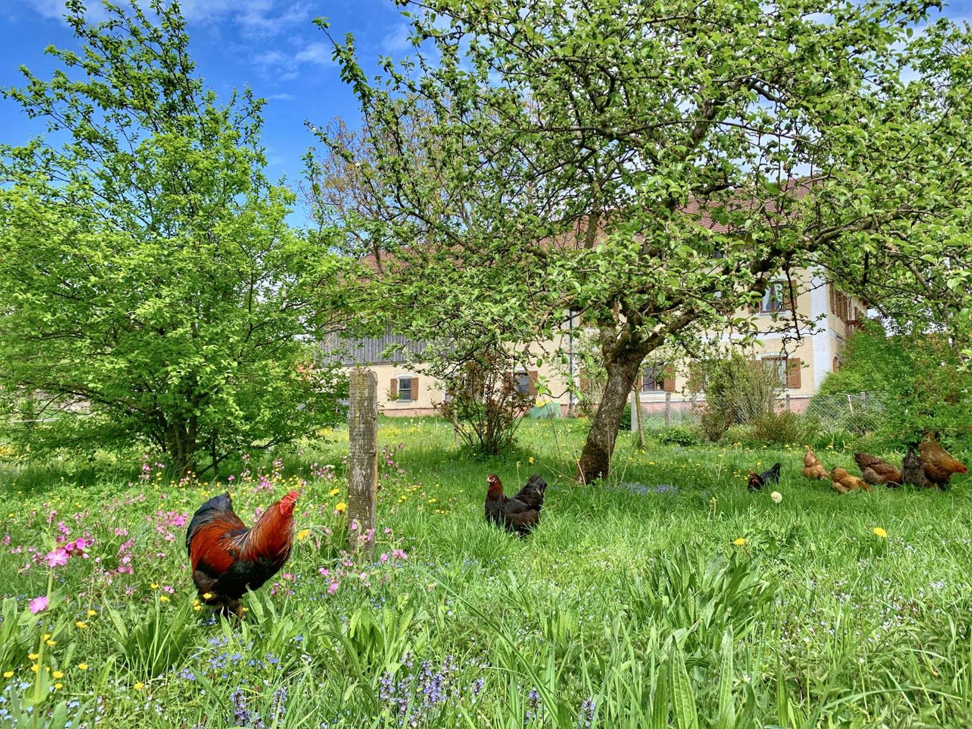 Villa Bauernhof Geigerhof Aschau im Chiemgau Exterior foto